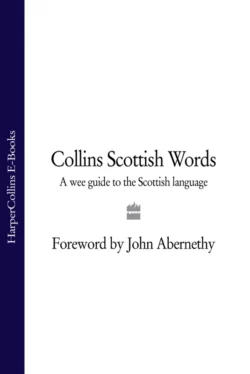 Collins Scottish Words: A wee guide to the Scottish language, John Abernethy