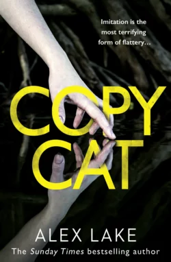 Copycat: The unputdownable new thriller from the bestselling author of After Anna, Alex Lake