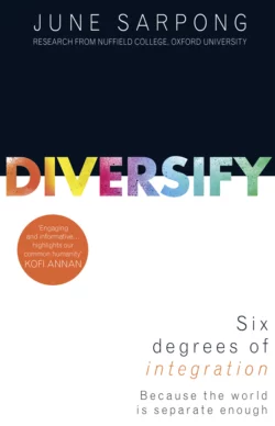 Diversify: A fierce  accessible  empowering guide to why a more open society means a more successful one June Sarpong