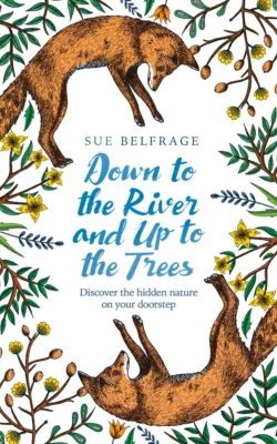 Down to the River and Up to the Trees: Discover the hidden nature on your doorstep Sue Belfrage