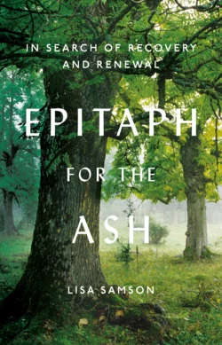 Epitaph for the Ash: In Search of Recovery and Renewal, Lisa Samson