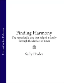 Finding Harmony: The remarkable dog that helped a family through the darkest of times, Sally Hyder