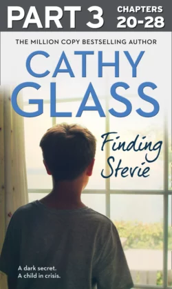 Finding Stevie: Part 3 of 3: A teenager in crisis, Cathy Glass