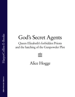 God’s Secret Agents: Queen Elizabeth′s Forbidden Priests and the Hatching of the Gunpowder Plot, Alice Hogge