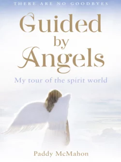 Guided By Angels: There Are No Goodbyes, My Tour of the Spirit World, Paddy McMahon