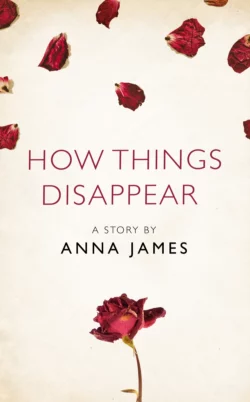 How Things Disappear: A Story from the collection, I Am Heathcliff, Anna James