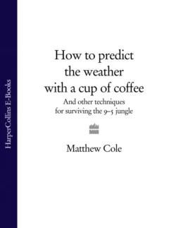 How to predict the weather with a cup of coffee: And other techniques for surviving the 9–5 jungle, Matthew Cole