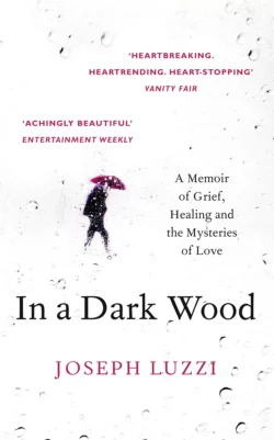 In a Dark Wood: What Dante Taught Me About Grief, Healing, and the Mysteries of Love, Joseph Luzzi