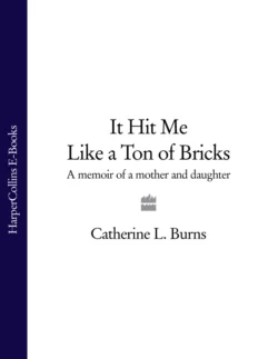 It Hit Me Like a Ton of Bricks: A memoir of a mother and daughter, Catherine Burns