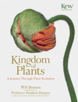 Kingdom of Plants: A Journey Through Their Evolution, Will Benson