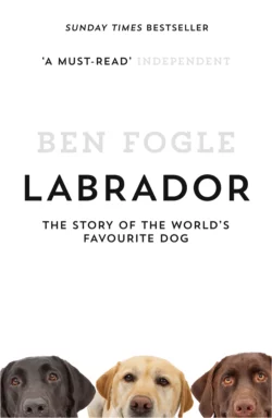 Labrador: The Story of the World’s Favourite Dog, Ben Fogle