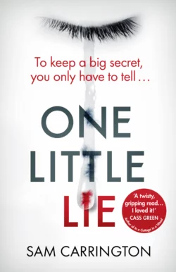 One Little Lie: From the best selling author comes a new crime thriller book for 2018 Sam Carrington