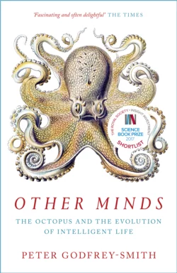 Other Minds: The Octopus and the Evolution of Intelligent Life, Питер Годфри-Смит