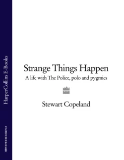 Strange Things Happen: A life with The Police  polo and pygmies Stewart Copeland