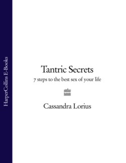 Tantric Secrets: 7 Steps to the best sex of your life, Cassandra Lorius