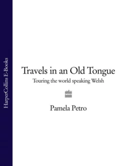 Travels in an Old Tongue: Touring the World Speaking Welsh, Pamela Petro