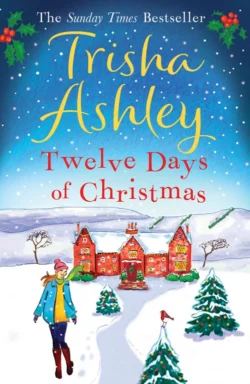 Twelve Days of Christmas: A bestselling Christmas read to devour in one sitting!, Trisha Ashley