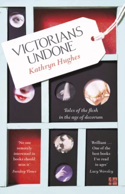 Victorians Undone: Tales of the Flesh in the Age of Decorum, Kathryn Hughes