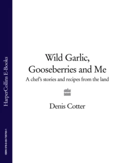 Wild Garlic, Gooseberries and Me: A chef’s stories and recipes from the land, Denis Cotter