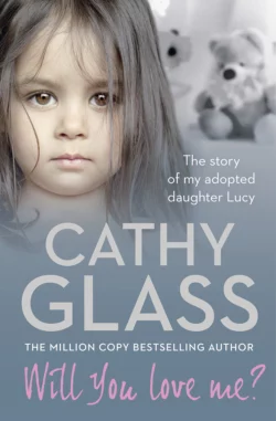 Will You Love Me?: The story of my adopted daughter Lucy, Cathy Glass