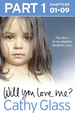 Will You Love Me?: The story of my adopted daughter Lucy: Part 1 of 3, Cathy Glass