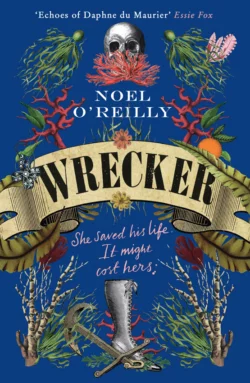 Wrecker: A gripping debut for fans of Poldark and the Essex Serpent, Noel O’Reilly