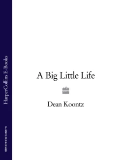 A Big Little Life Dean Koontz