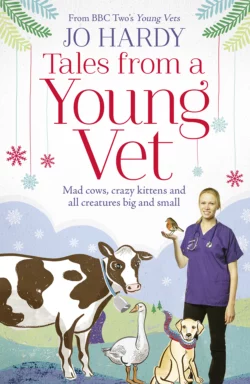 Tales from a Young Vet: Mad cows  crazy kittens  and all creatures big and small Jo Hardy и Caro Handley