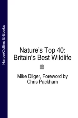 Nature’s Top 40: Britain’s Best Wildlife, Chris Packham