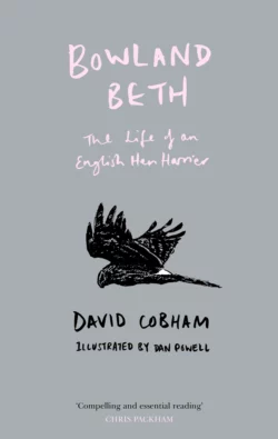 Bowland Beth: The Life of an English Hen Harrier, David Cobham