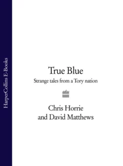 True Blue: Strange Tales from a Tory Nation, David Matthews