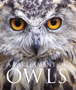 A Parliament of Owls David Tipling и Mike Unwin