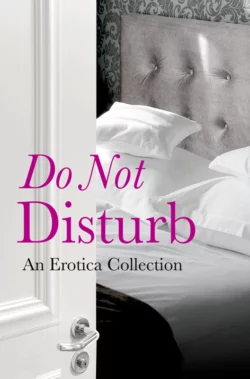 Do Not Disturb: An Erotica Collection, Elizabeth Coldwell