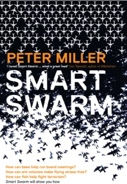 Smart Swarm: Using Animal Behaviour to Organise Our World, Peter Miller