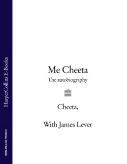 Me Cheeta: The Autobiography, James Lever