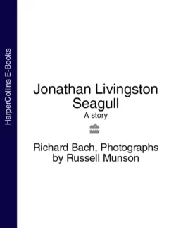 Jonathan Livingston Seagull: A story Ричард Бах и Russell Munson