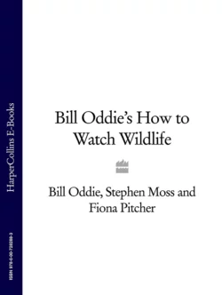 Bill Oddie’s How to Watch Wildlife, Stephen Moss