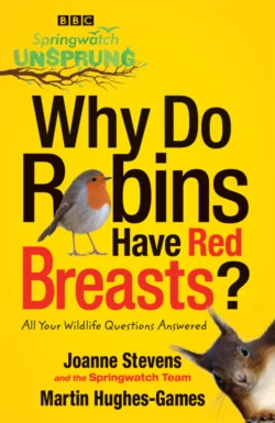 Springwatch Unsprung: Why Do Robins Have Red Breasts?, Jo Stevens