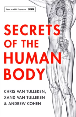 Secrets of the Human Body, Andrew Cohen