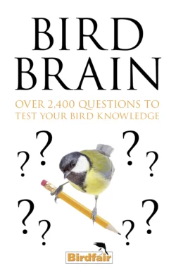 Bird Brain: Over 2,400 Questions to Test Your Bird Knowledge, Литагент HarperCollins