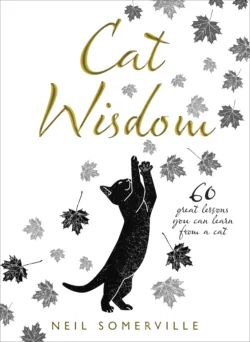 Cat Wisdom: 60 great lessons you can learn from a cat, Neil Somerville