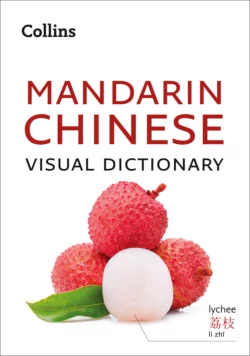 Collins Mandarin Chinese Visual Dictionary Collins Dictionaries