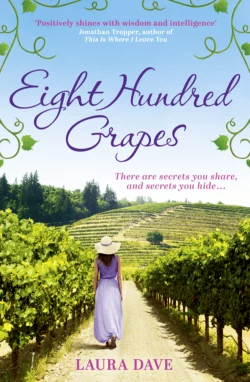 Eight Hundred Grapes: a perfect summer escape to a sun-drenched vineyard, Laura Dave