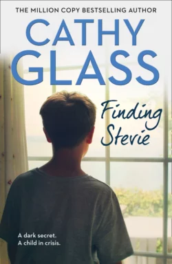 Finding Stevie: A teenager in crisis Cathy Glass