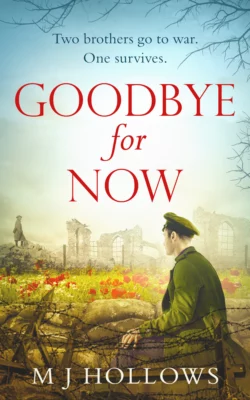 Goodbye for Now: A breathtaking historical debut, M.J. Hollows