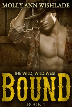 Bound: A sizzling hot Western romance, Molly Wishlade