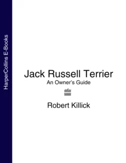 Jack Russell Terrier: An Owner’s Guide, Robert Killick