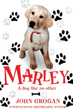 Marley: A Dog Like No Other John Grogan