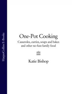 One-Pot Cooking: Casseroles, curries, soups and bakes and other no-fuss family food, Katie Bishop