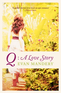 Q: A Love Story Evan Mandery